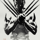 Illustration for article titled Check out these beautifully artsy Japanese posters from emThe Wolverine/em